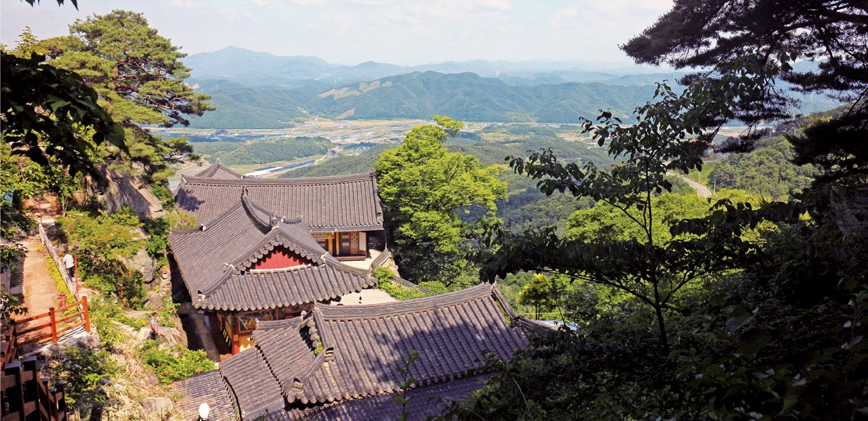 산청의 오래된 푸름