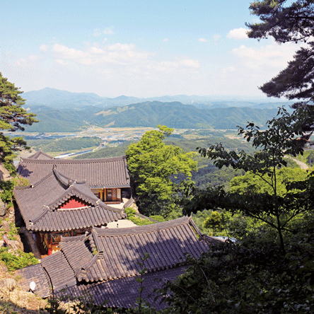 여행에 숨은 역사 산청의 오래된 푸름<BR>-경상남도 산청-