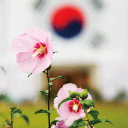 순국선열의 날,<BR>다시 부르는 그 이름 다시 만난 그날
