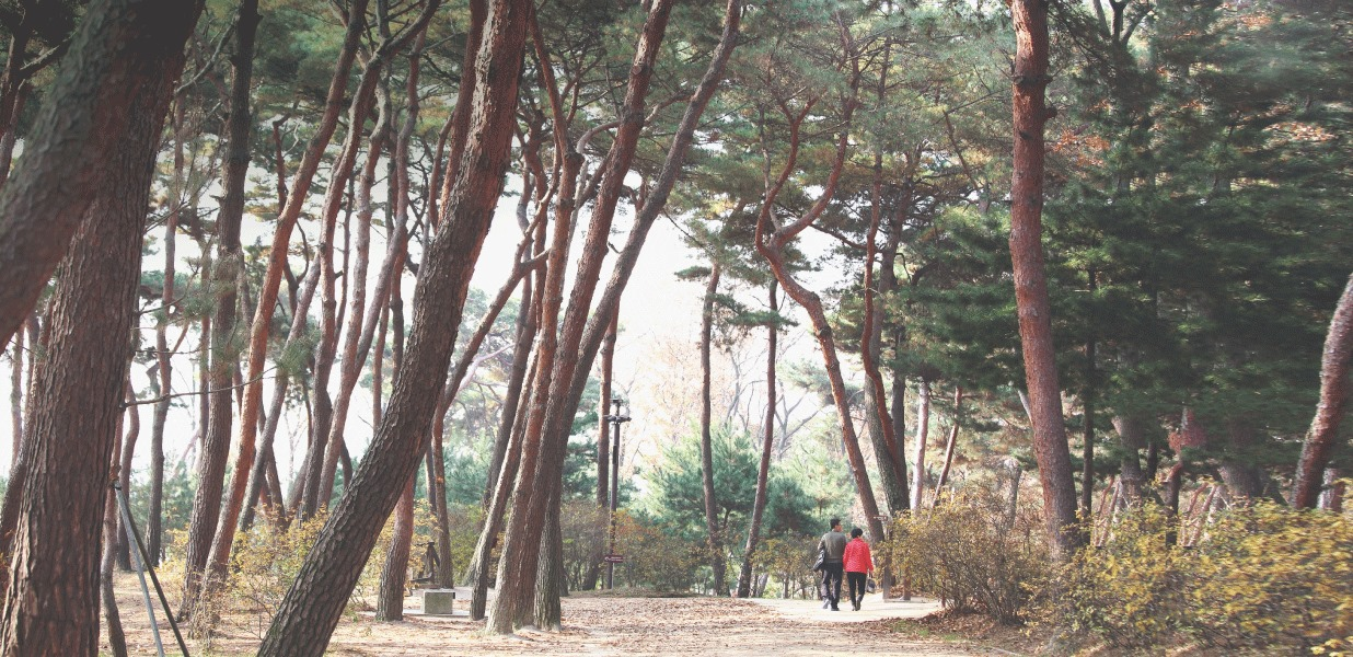 오래된 시간을 잇는 길<BR />화성