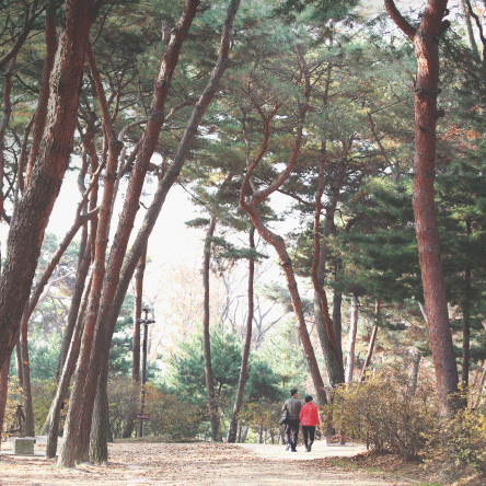 오래된 시간을 잇는 길<BR>화성 이 땅의 숨결