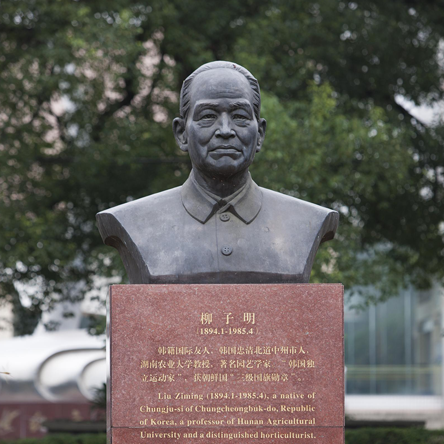 창사(長沙)에서 만난 인연의 안내를 받다 선열의 발자취를 찾아서