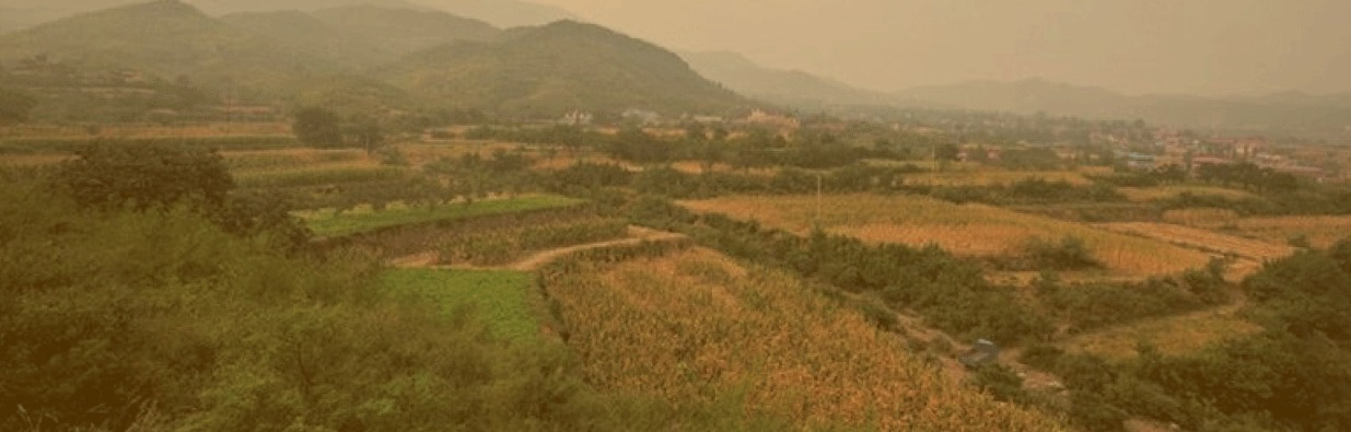 이달의 독립운동가