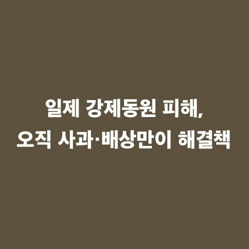人 사람과 끝나지 않은 독립운동<BR> 일제 강제동원 피해,<BR>오직 사과·배상만이 해결책