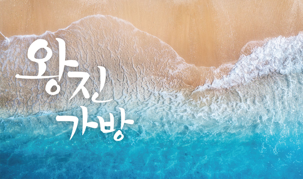 왕진가방