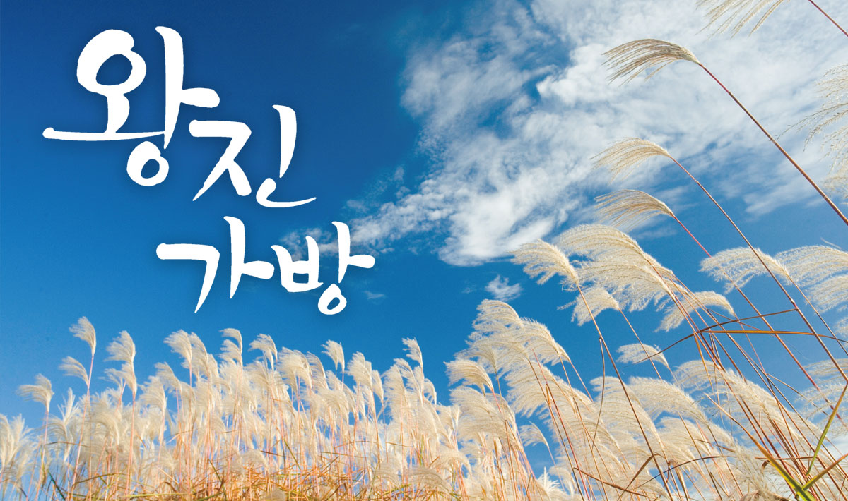 왕진가방