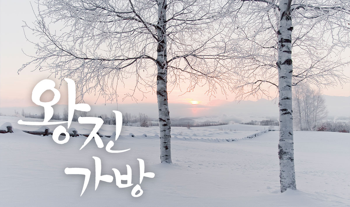왕진가방