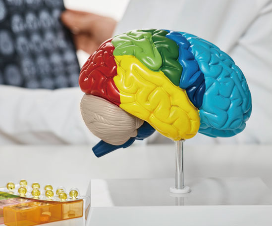 HEALTH 뇌경색 VS 뇌출혈 건강 VS 건강